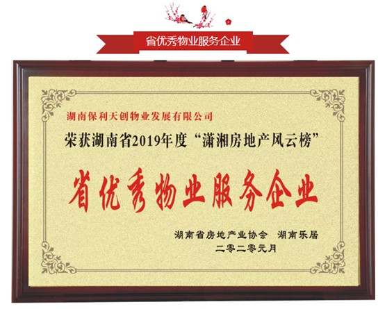 湖南保安服務,墻外高空清洗服務,湖南保利天創(chuàng)物業(yè)發(fā)展有限公司