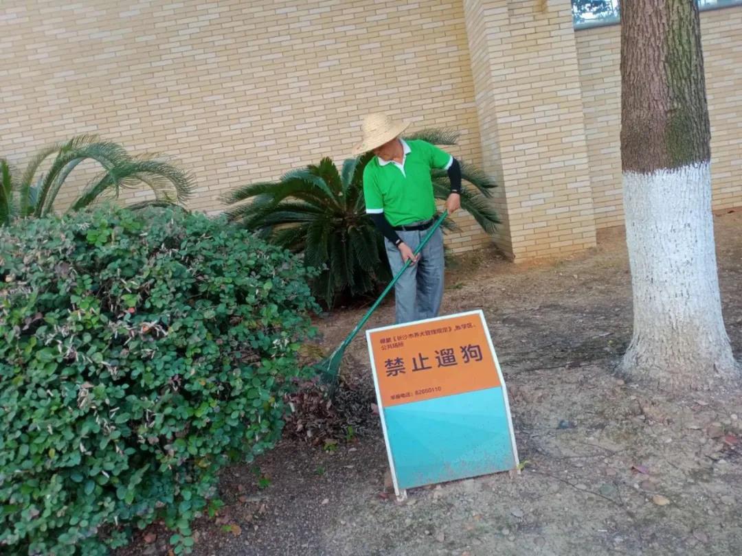 湖南保安服務(wù),墻外高空清洗服務(wù),湖南保利天創(chuàng)物業(yè)發(fā)展有限公司 湖南保安服務(wù),墻外高空清洗服務(wù),湖南保利天創(chuàng)物業(yè)發(fā)展有限公司