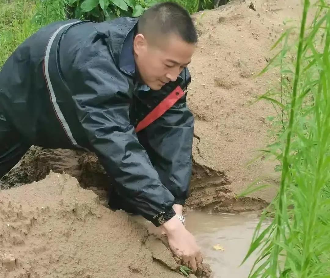 湖南保安服務,墻外高空清洗服務,湖南保利天創(chuàng)物業(yè)發(fā)展有限公司