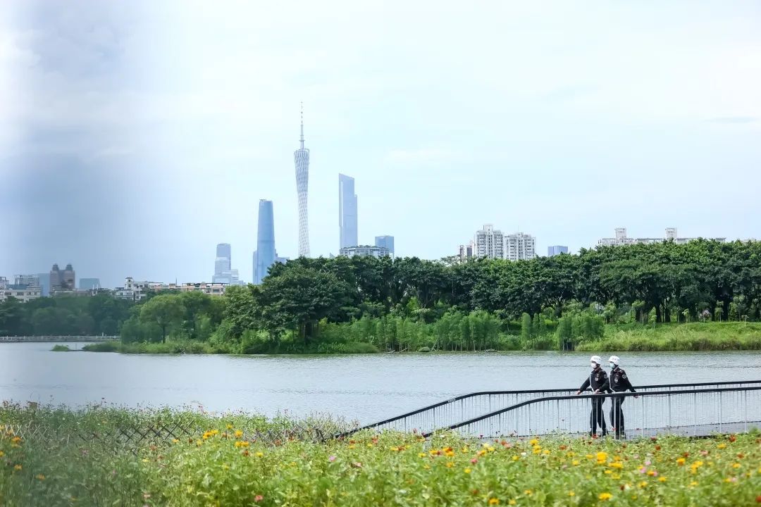 湖南保安服務,墻外高空清洗服務,湖南保利天創(chuàng)物業(yè)發(fā)展有限公司