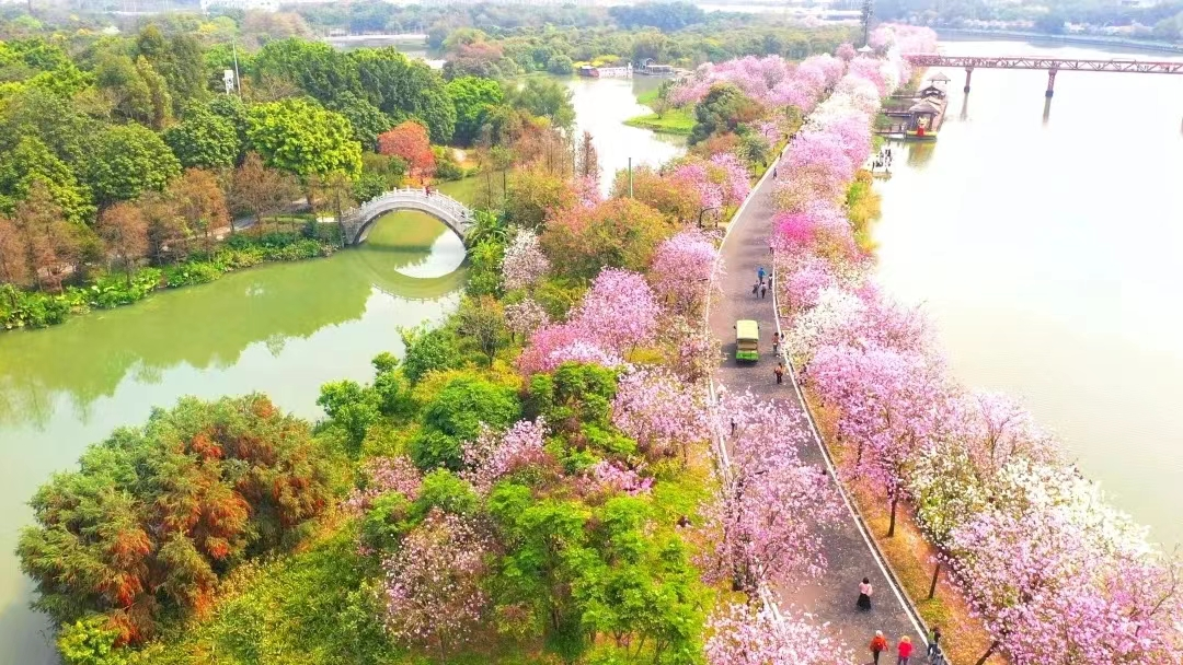 湖南保安服務,墻外高空清洗服務,湖南保利天創(chuàng)物業(yè)發(fā)展有限公司