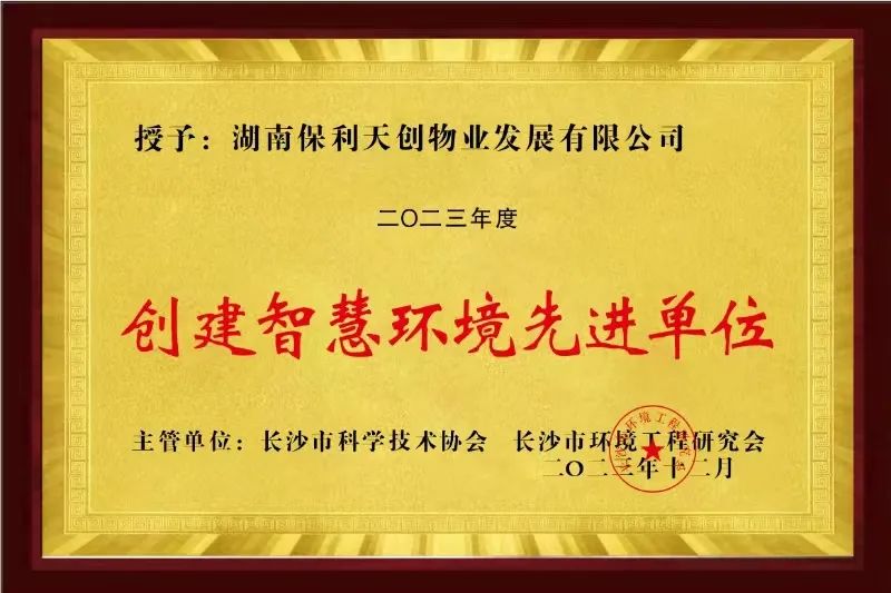 湖南保安服務,墻外高空清洗服務,湖南保利天創(chuàng)物業(yè)發(fā)展有限公司